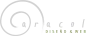 Logo-Caracol-negativo-footer@2x.png