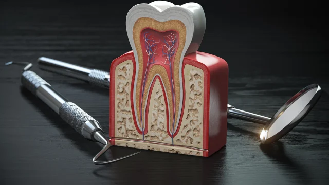 tooth-anatomy-cross-section-with-dental-instrument-2026-01-08-07-15-30-utc copia